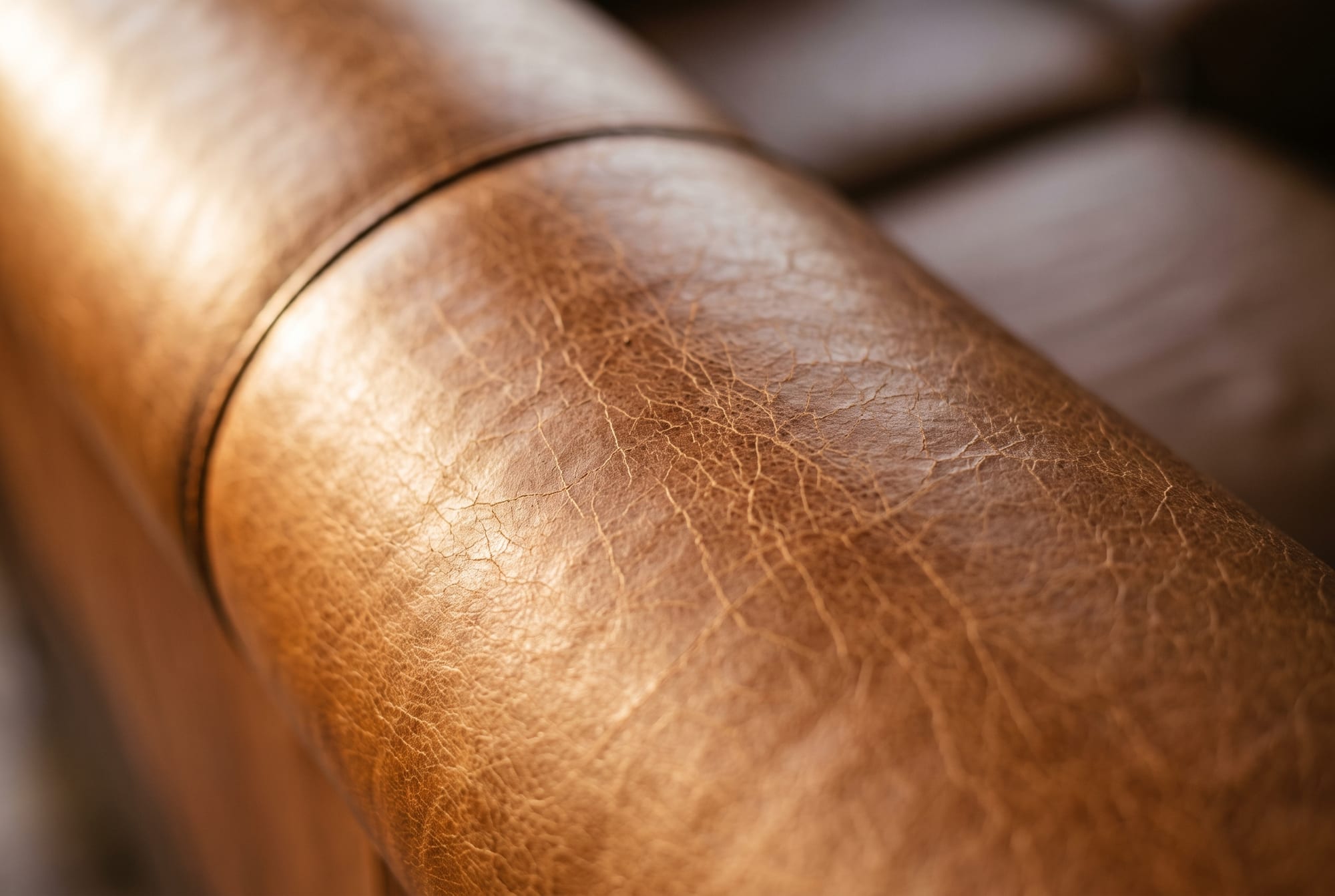 Close detail of the crown of a leather sofa arm in low raking light, a fine network of crazing visible only at a shallow viewing angle while the surrounding leather appears smooth