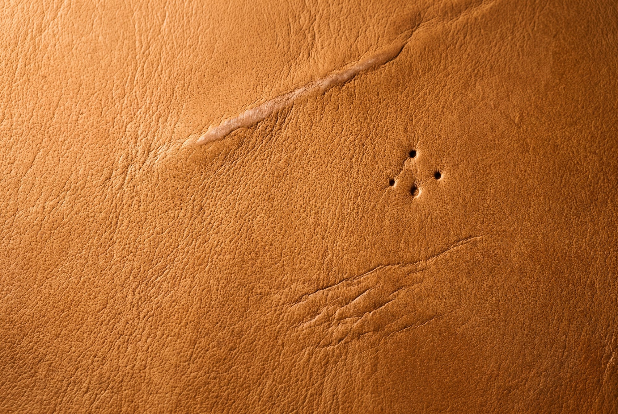 A close-up of tan full-grain leather in raking light, showing a healed scar line, fine striations and the open pore texture of an uncorrected surface