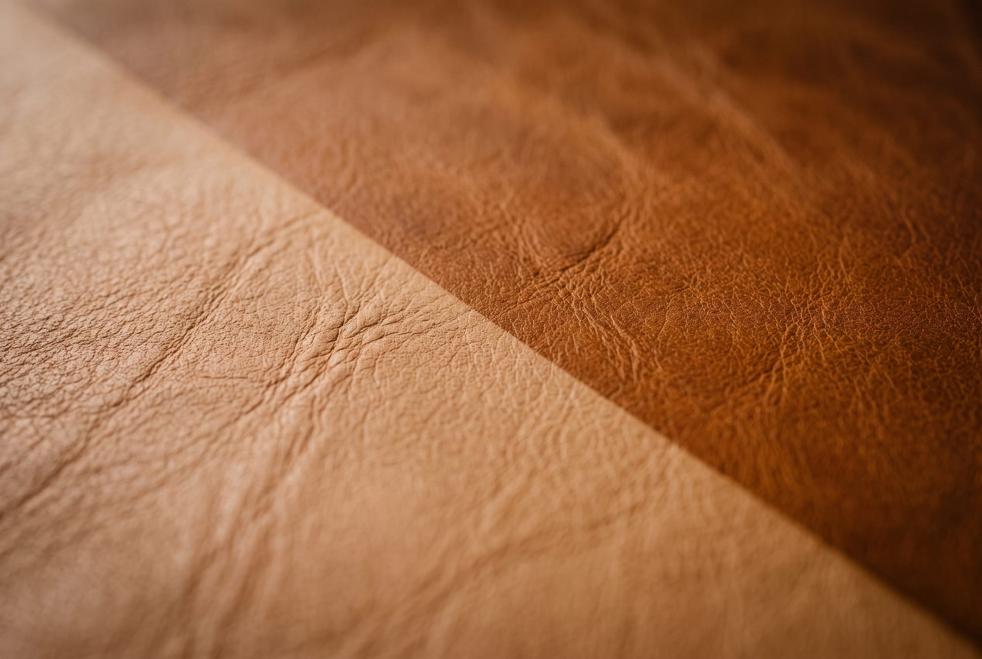 A low raking view across a cognac leather surface where a hard-edged paler rectangle meets deeper tone, the boundary line running diagonally through the frame