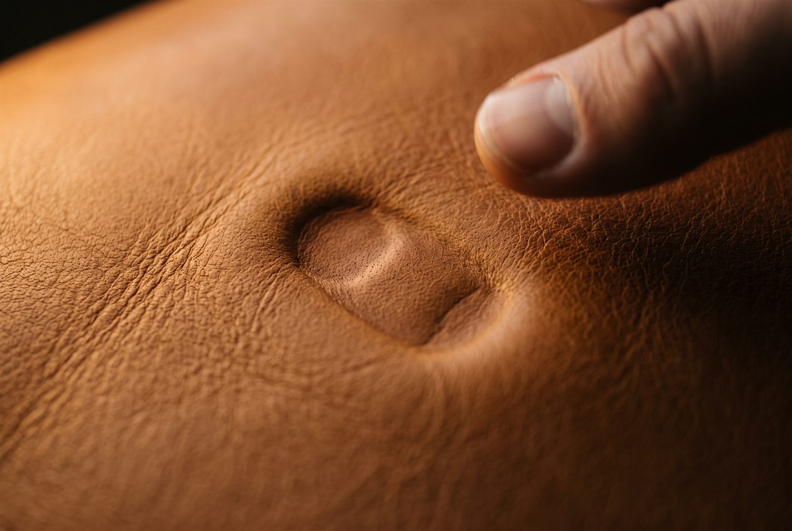 A faint thumb-shaped impression slowly fading from thick vegetable-tanned leather